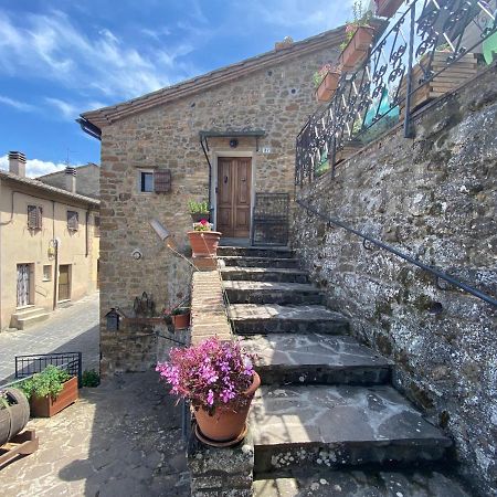 Villa Panoramic Nest In Montalcino Exterior foto